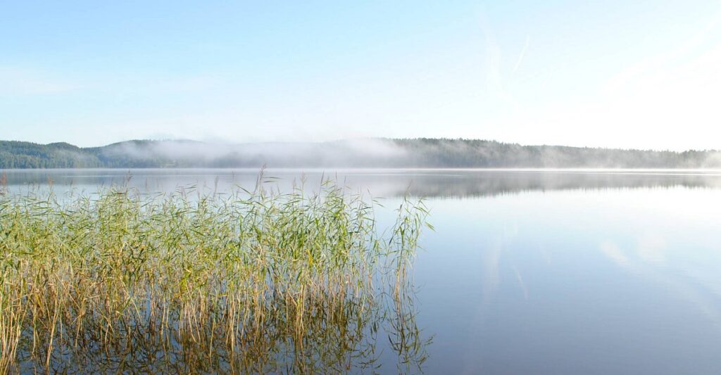 Solviken Vandrarhem & Konferens