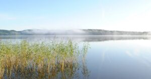 Solvikens Vandrarhem och Konferens