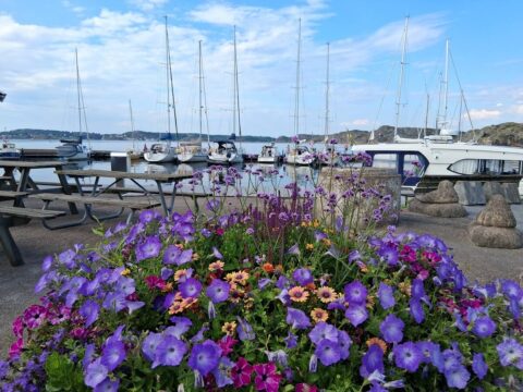 Vandrarhemmet Varvet