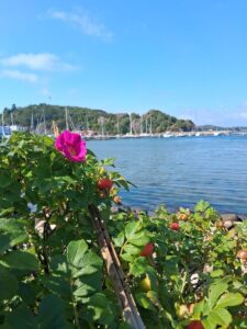 Vandrarhemmet Varvet